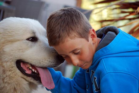 Patou avec un enfant, tête contre tête