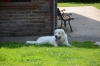 Gilka