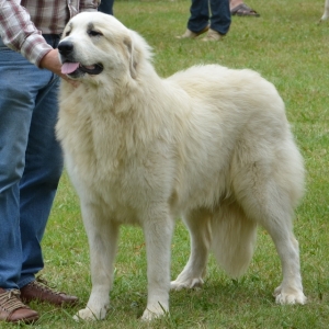 Fendy du Val de Pyrène