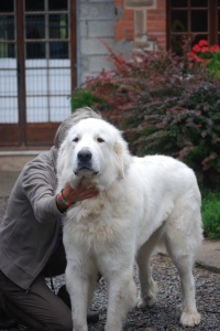 Mio du mas de beauvoisin