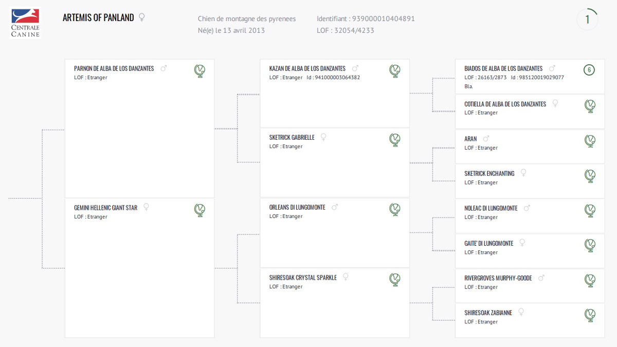 Genealogical certificateArtemis Of Panland