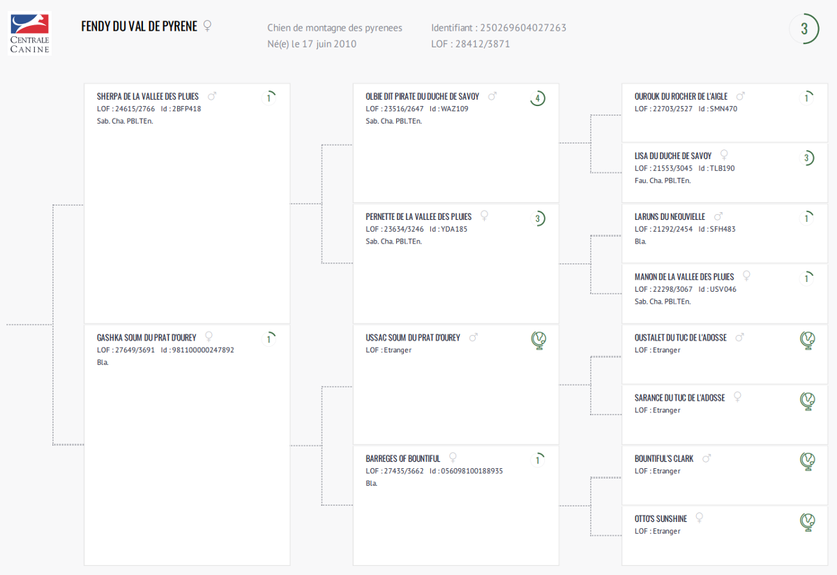 Certificat généalogiqueFendy du Val de Pyrène