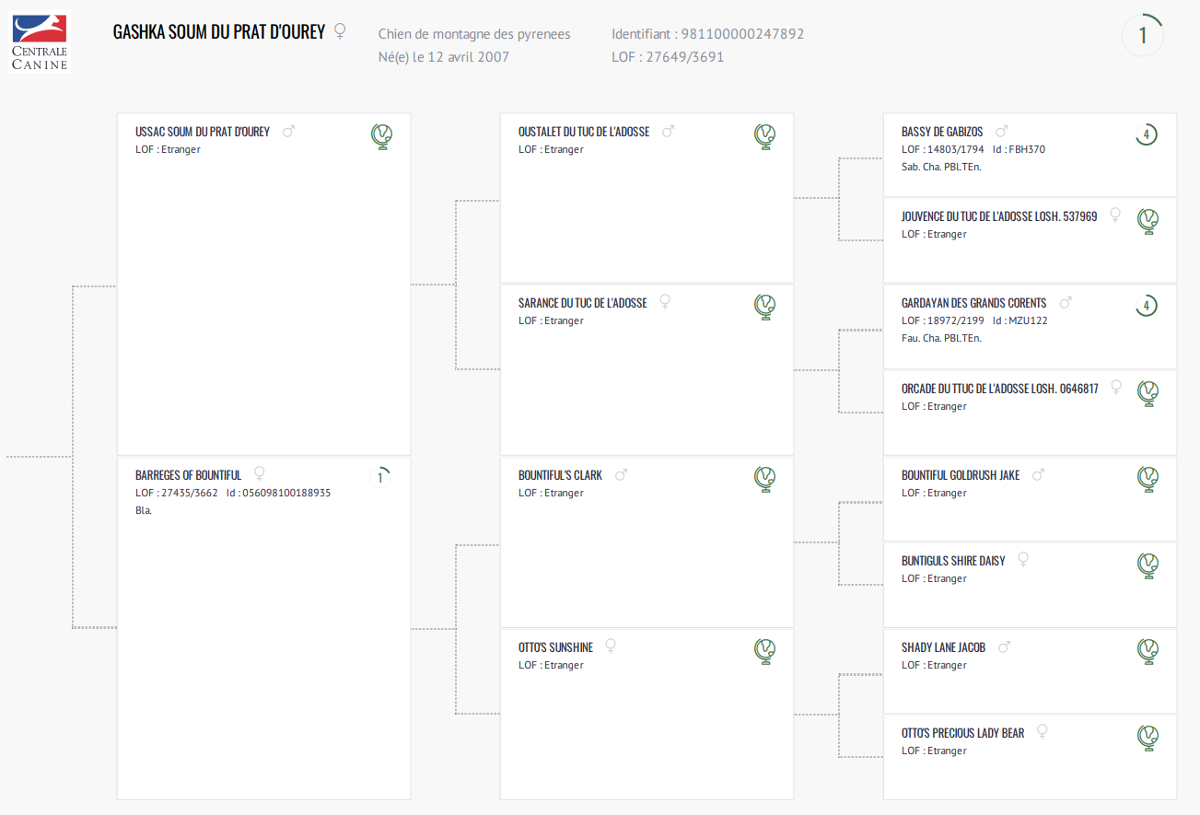Certificat généalogiqueGashka Soum du Prat d'Ourey