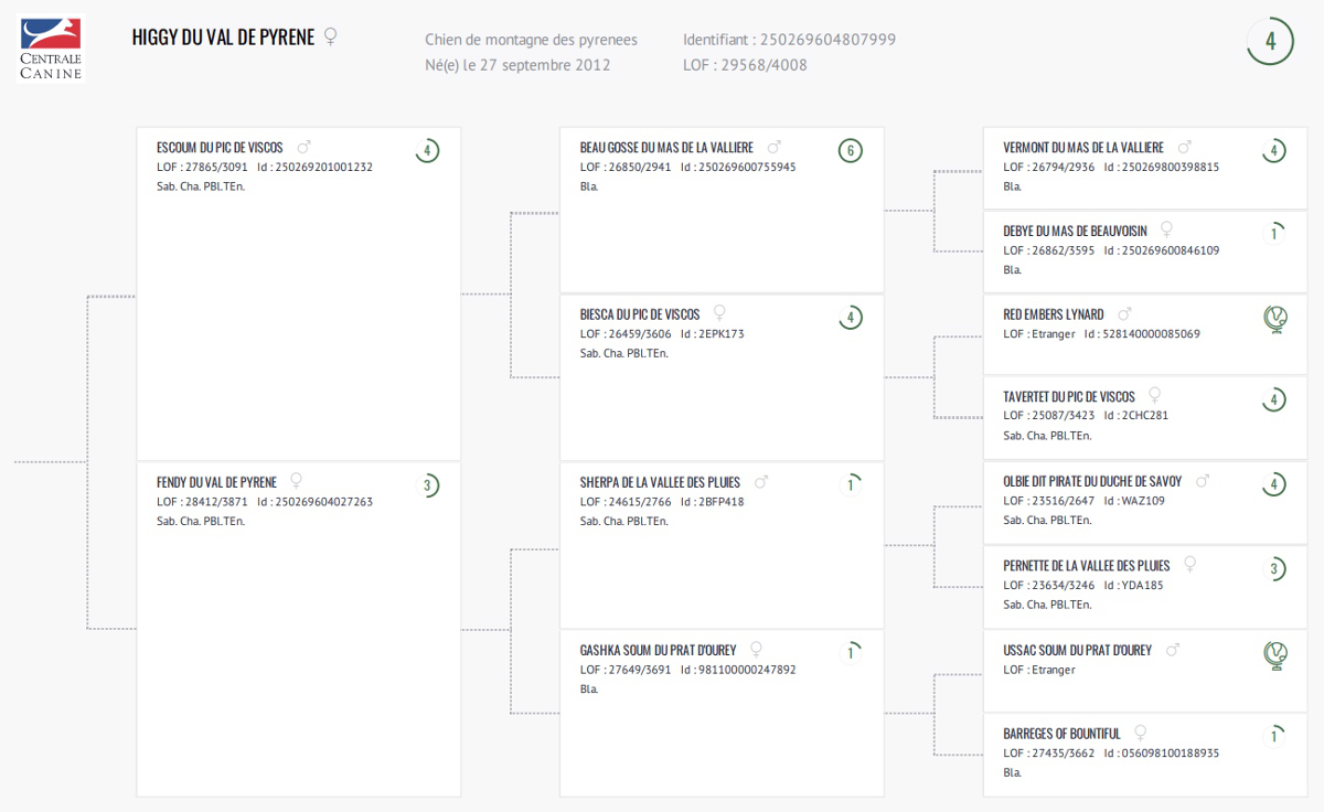 Certificat généalogiqueHiggy du Val de Pyrène