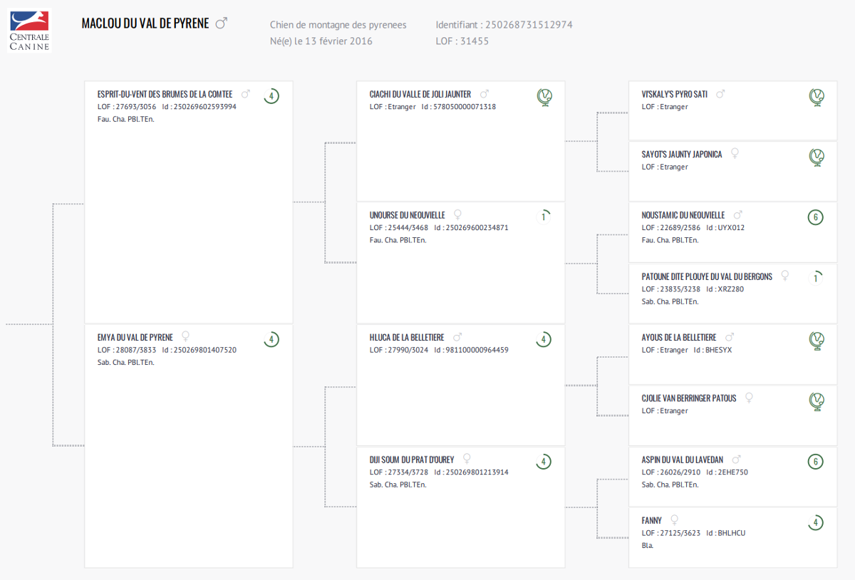 Certificat généalogiqueMaclou du Val de Pyrène