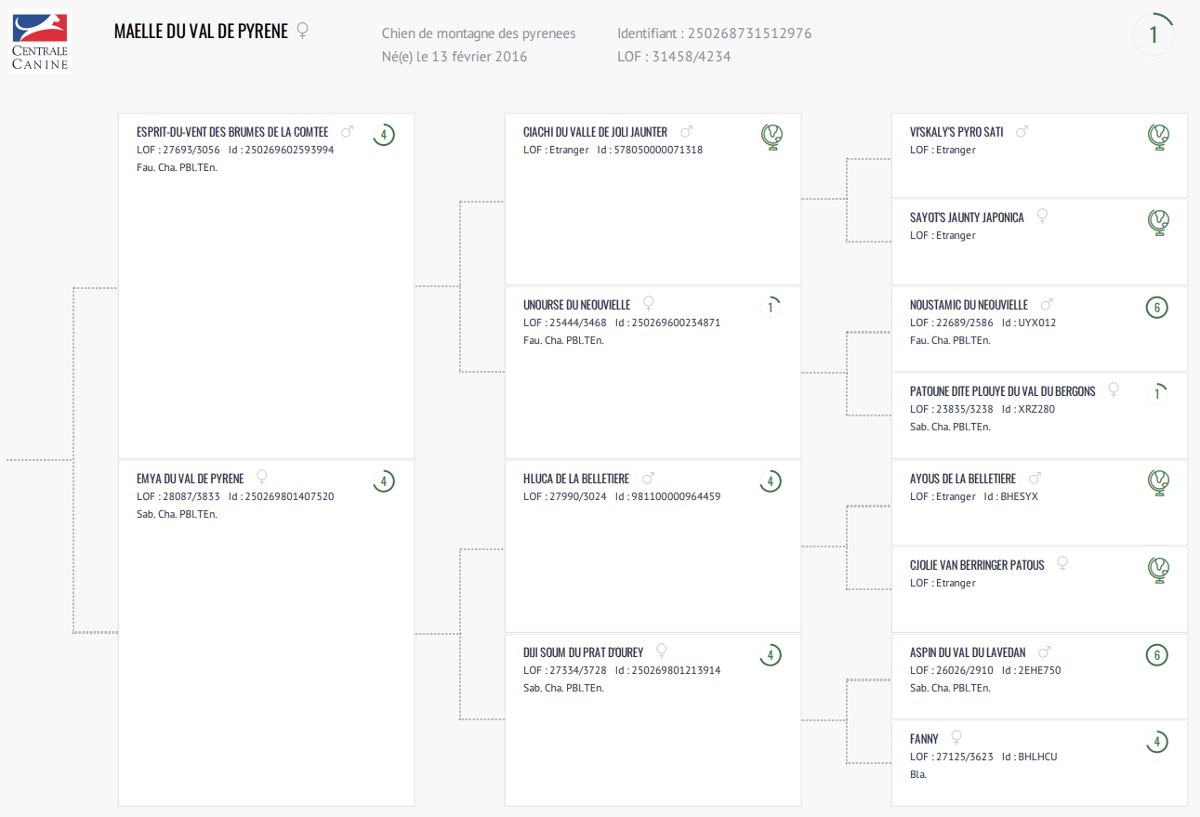 Certificat généalogiqueMaelle du Val de Pyrène